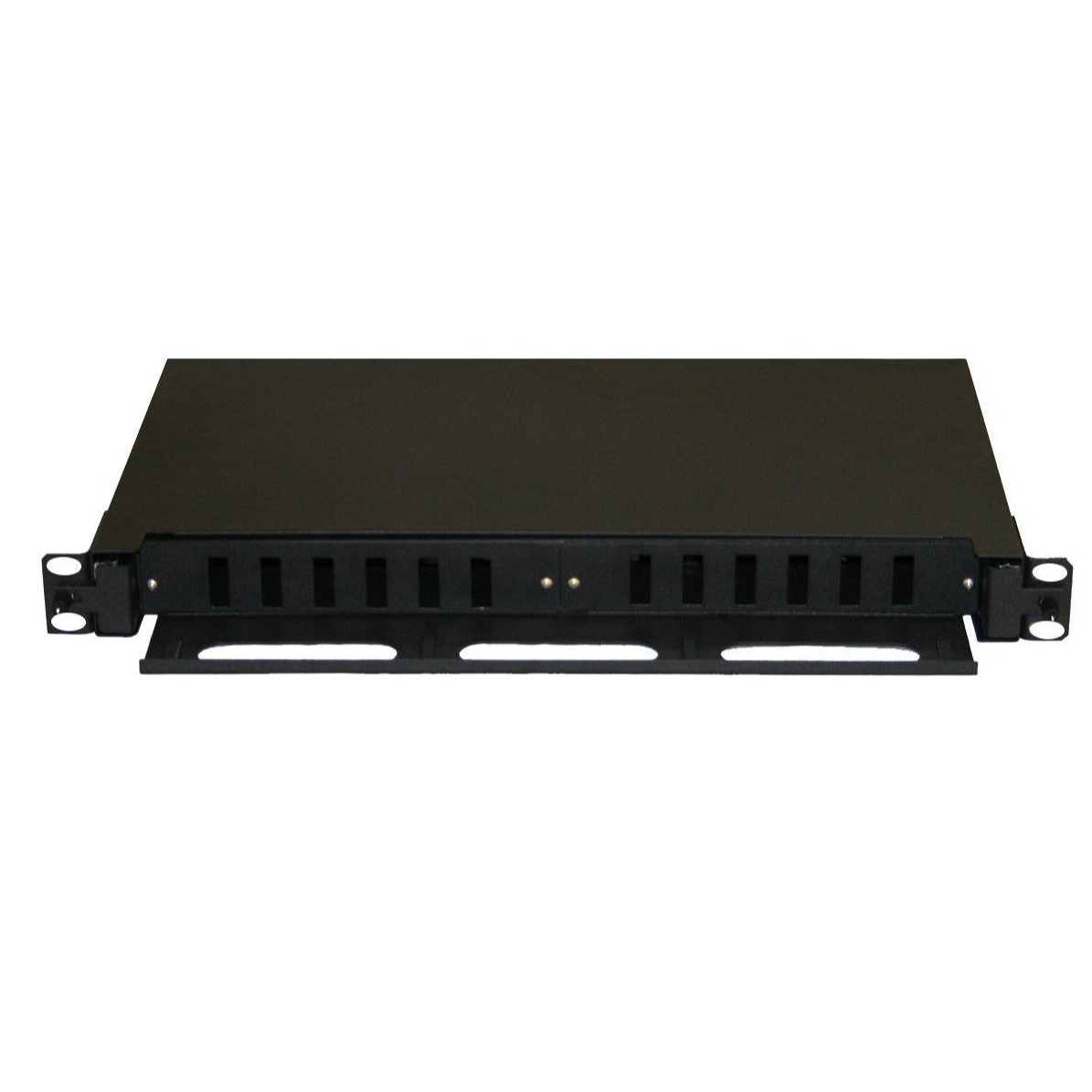 Rayleigh fiber optic patch panel 12 port SC